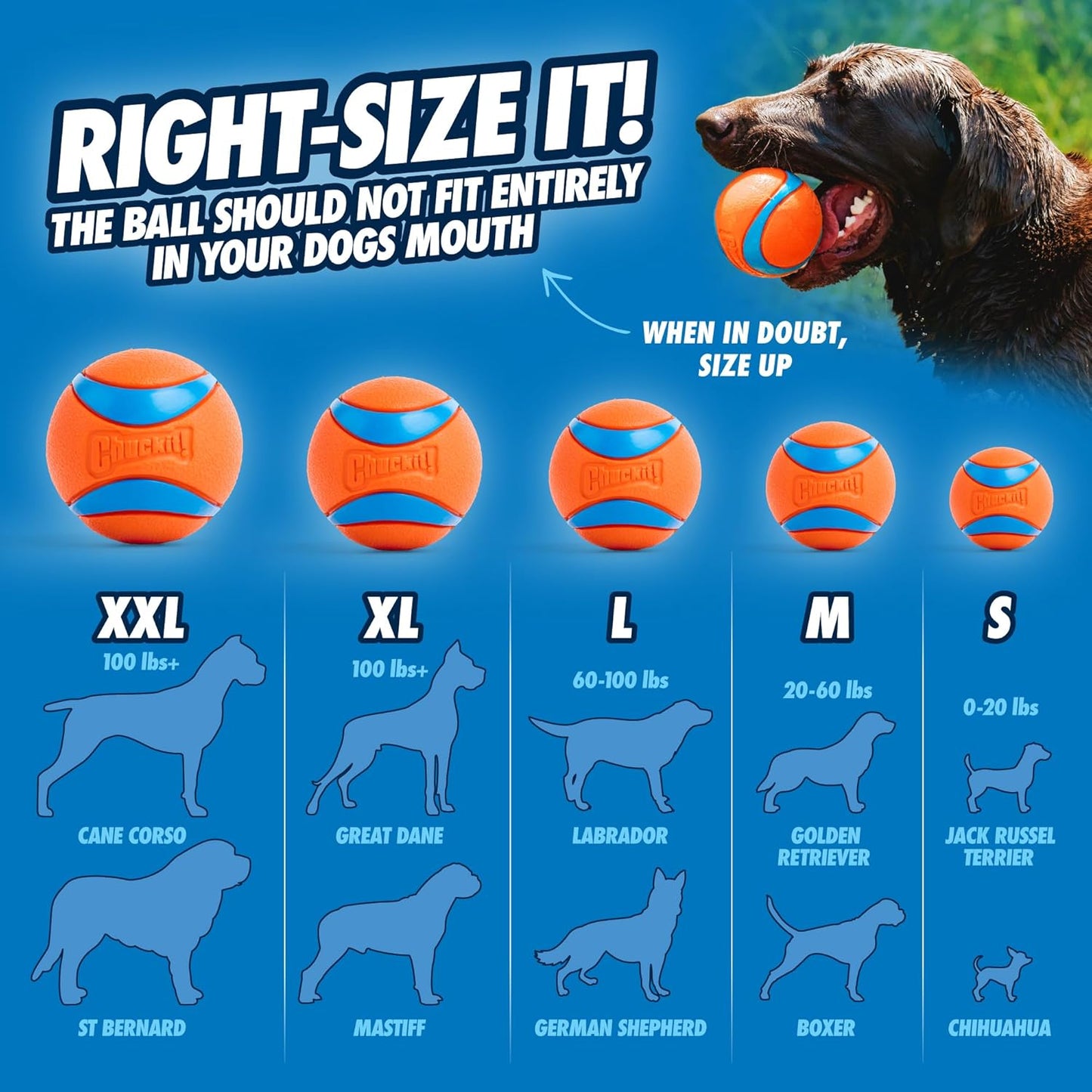 Ultra Ball, Medium (2.5 Inch), 2 Count