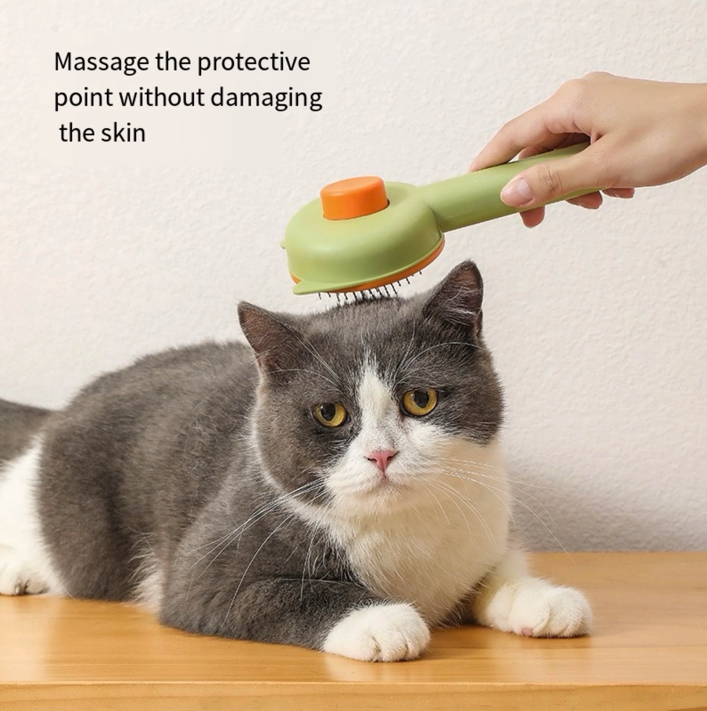 Cat Brush Pet Comb Grooming Pets Hair Remover Cat Dogs Removal Hair Brush Cleansing Self Fall off Hair Pet Tools Accessories