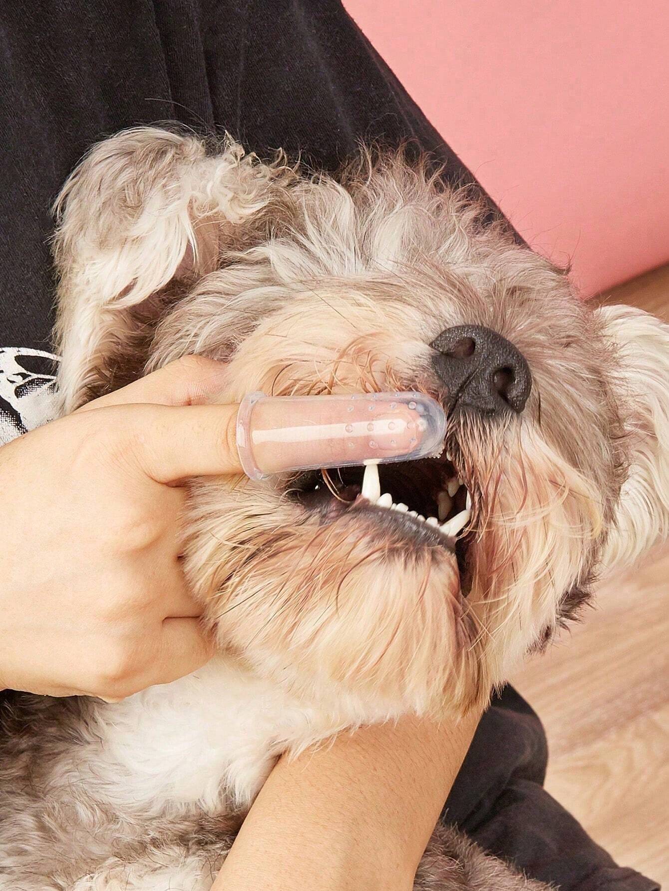 Pet Finger Toothbrush Pet Toothbrush Silicone Toothbrush Puppy Cat Finger Set Brush Finger Pet Toothbrush Small Size Suitable for Dogs and Cats