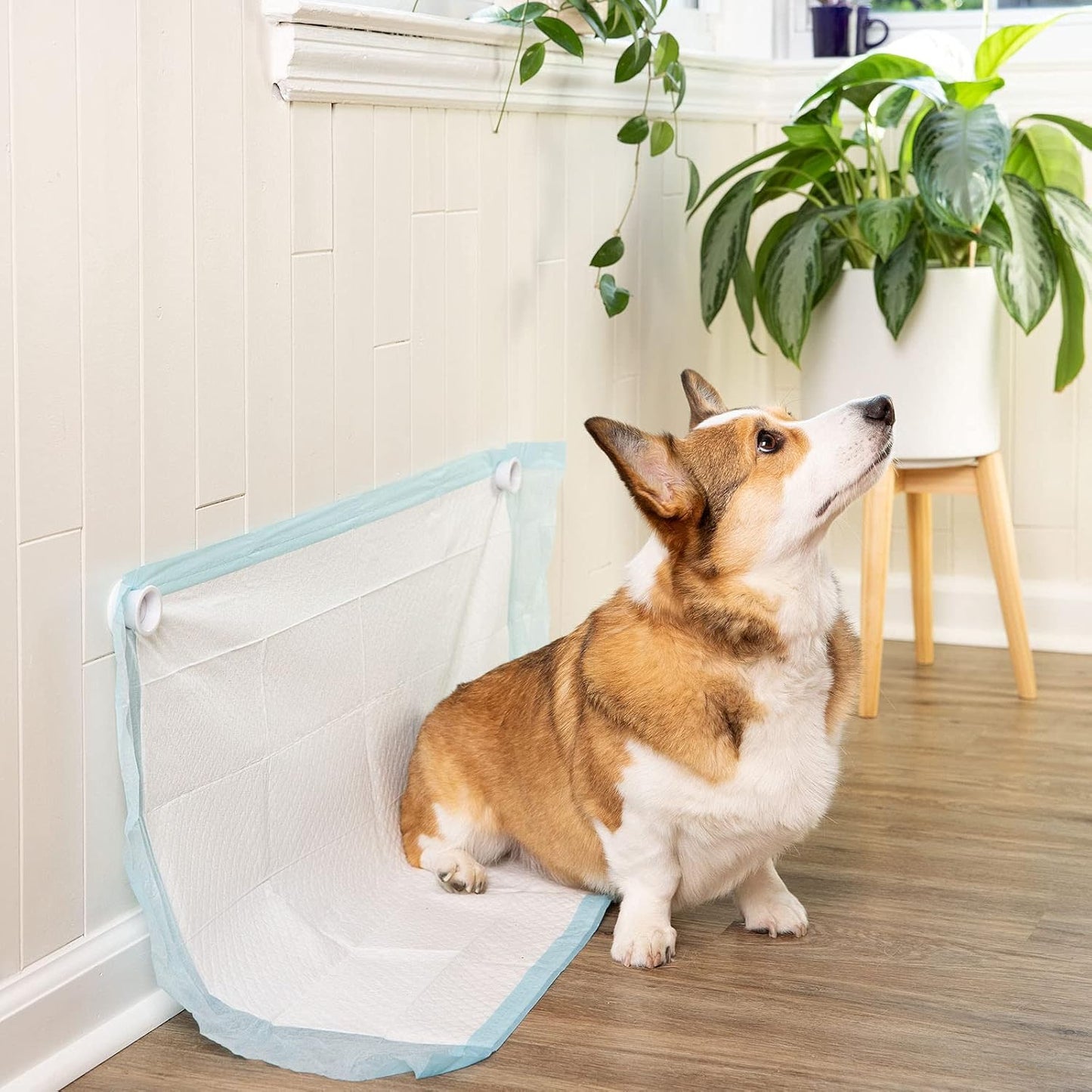 Pee PAD Holder (Pack of 2) – Works with Any Type of Wee Wee Pads for Easy Cleanup of Marking and Leg Lifting Dogs. (White)